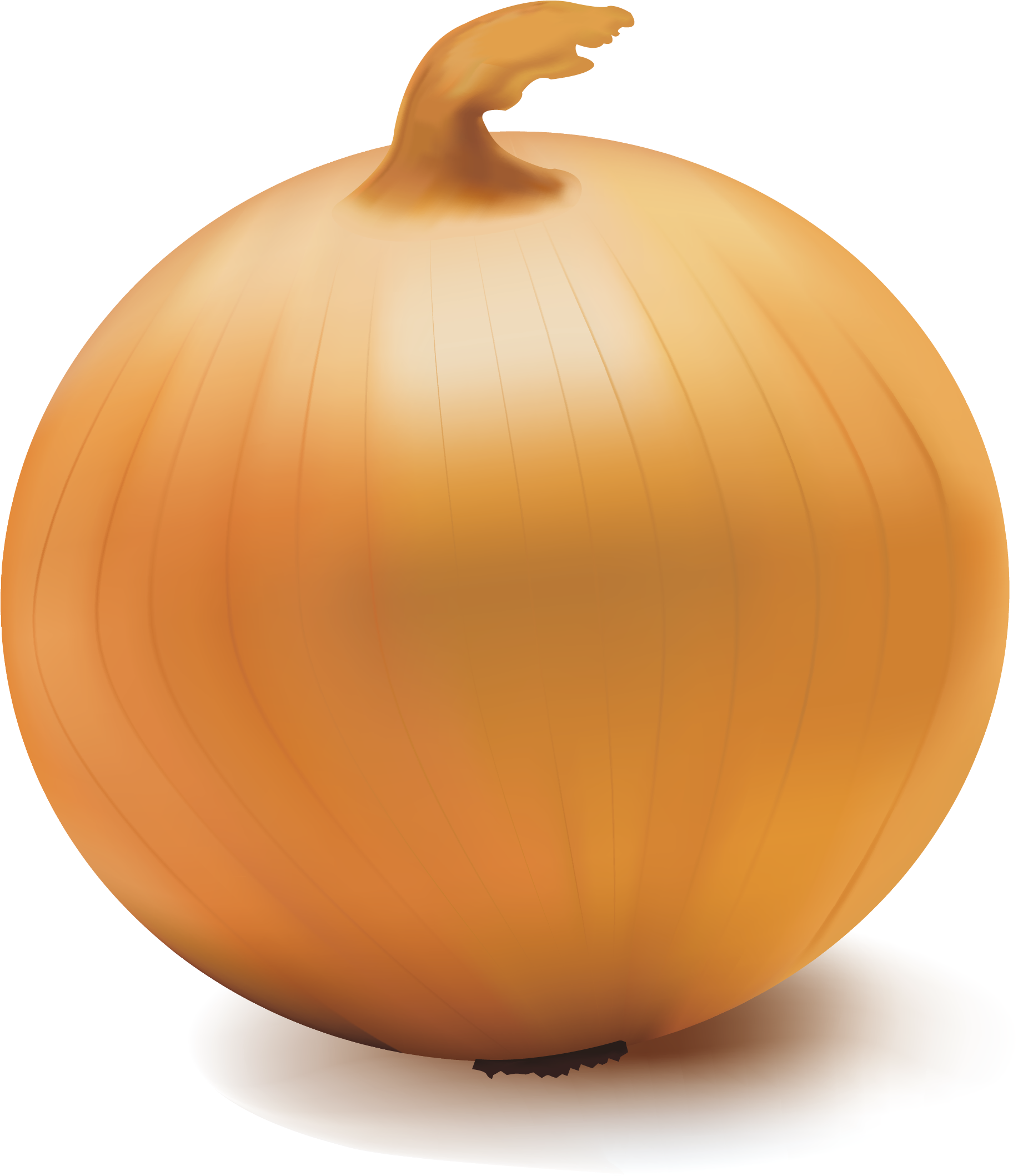 Yellow Onion (2917x2917), Png Download