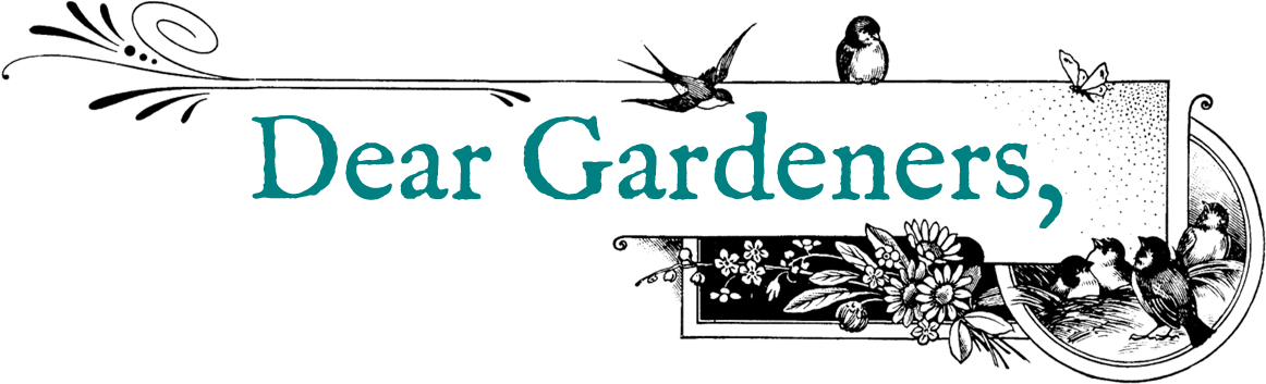Welcome To An Exciting Gardening Season, Filled With - Illustration (1190x368), Png Download