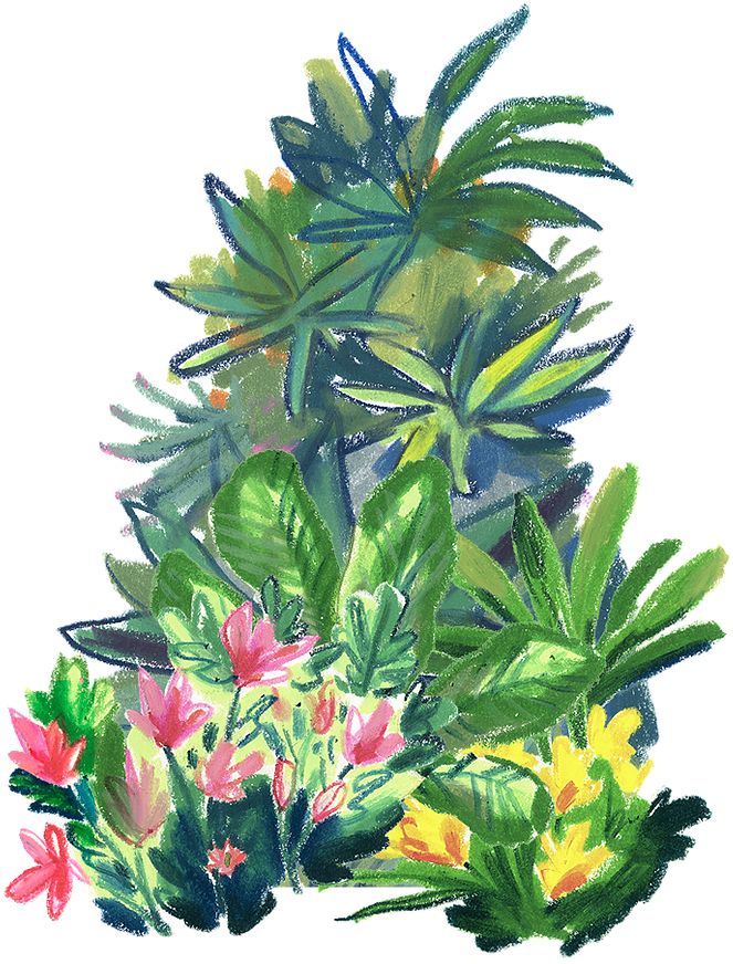 Submit - Tulip (771x920), Png Download