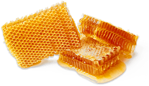 Honeycomb - Barcelona (500x304), Png Download