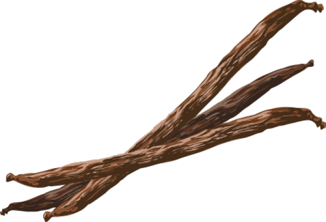 Vanilla Bean Clipart - Vanilla Bean Png (640x436), Png Download