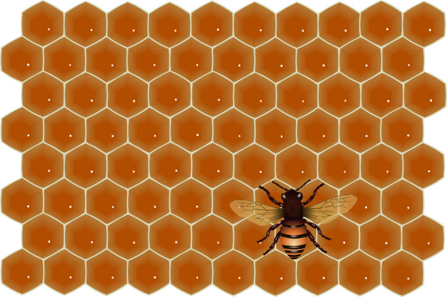 Bee - พื้น หลัง น้ำผึ้ง Png (900x598), Png Download