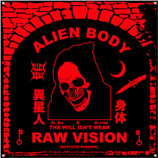 Skull (600x600), Png Download