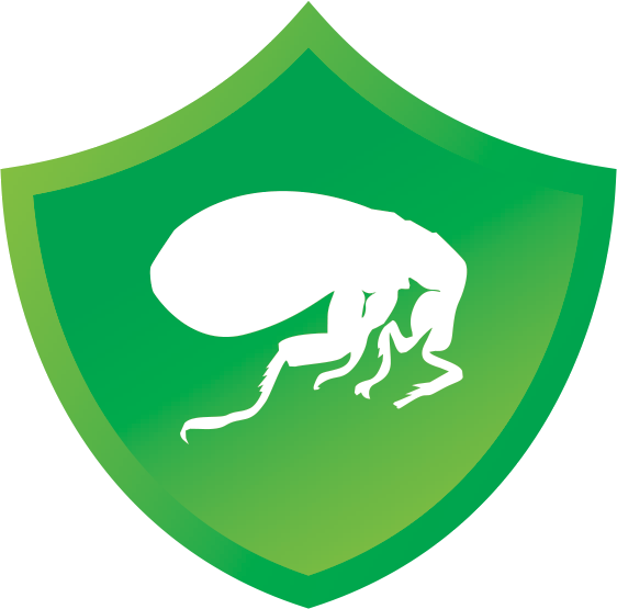 Kills Fleas Fast Before They Lay Eggs Keeping Dogs - Dog (562x555), Png Download