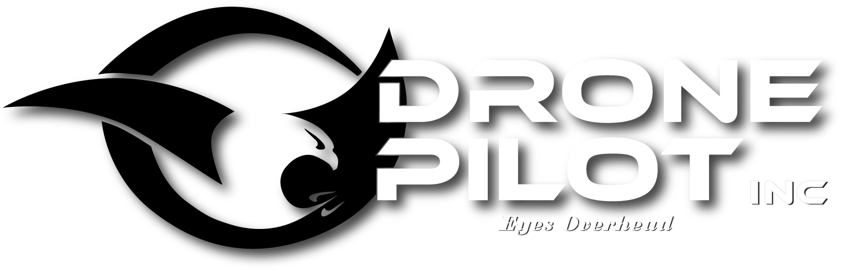 Drone Pilot, Inc - Drone Pilot Logo (1696x610), Png Download