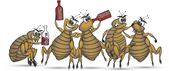 Available From Your Local Vets Today - Rip Fleas (579x244), Png Download