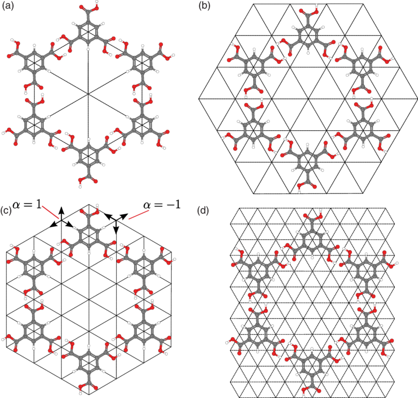 Models For Simulation Of The Honeycomb Phase Of Tma - Illustration (850x810), Png Download
