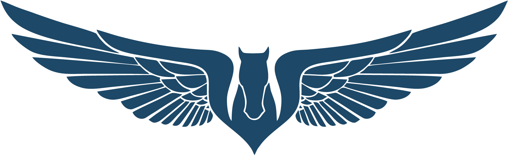 Usas Eagle Drone - Imagens De Asas De Anjo (1800x750), Png Download