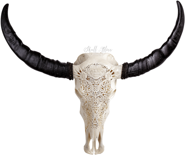 Carved Buffalo Skull - Skull (645x645), Png Download