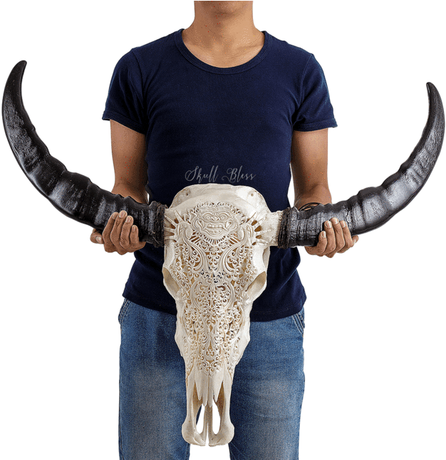 Carved Buffalo Skull - Flower Garden (645x645), Png Download