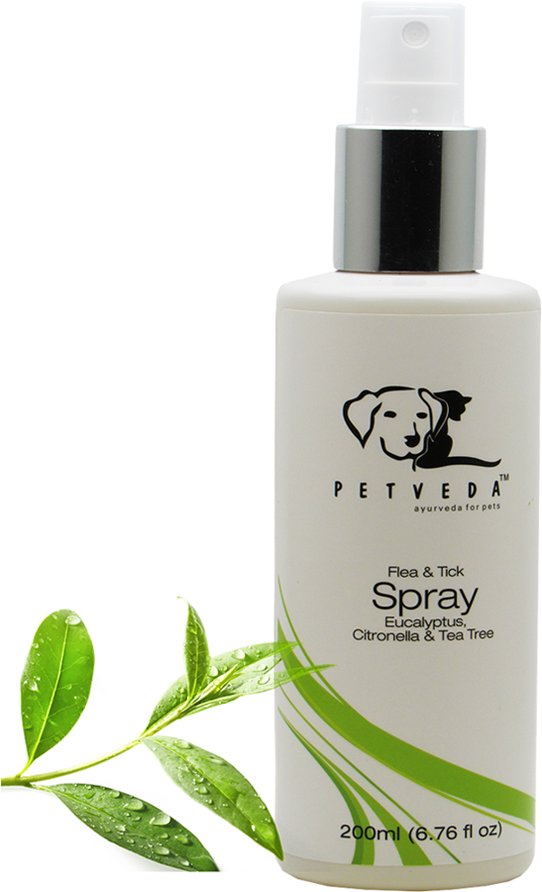 Tick & Flea Spray - #1 Best Deep Organic Conditioner With Tea Tree Oil, (1200x1500), Png Download