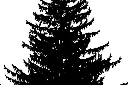 Png Pine Tree Line K Pictures Full Hq - Pine Tree Silhouette Free (450x300), Png Download