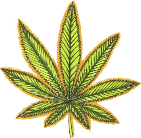 Tumblr Mlp4bqbhgv1r32dryo1 500 - Grey Marijuana Leaf (500x509), Png Download
