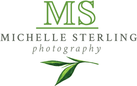 Green Leaf And Initials - Book Cover (540x460), Png Download