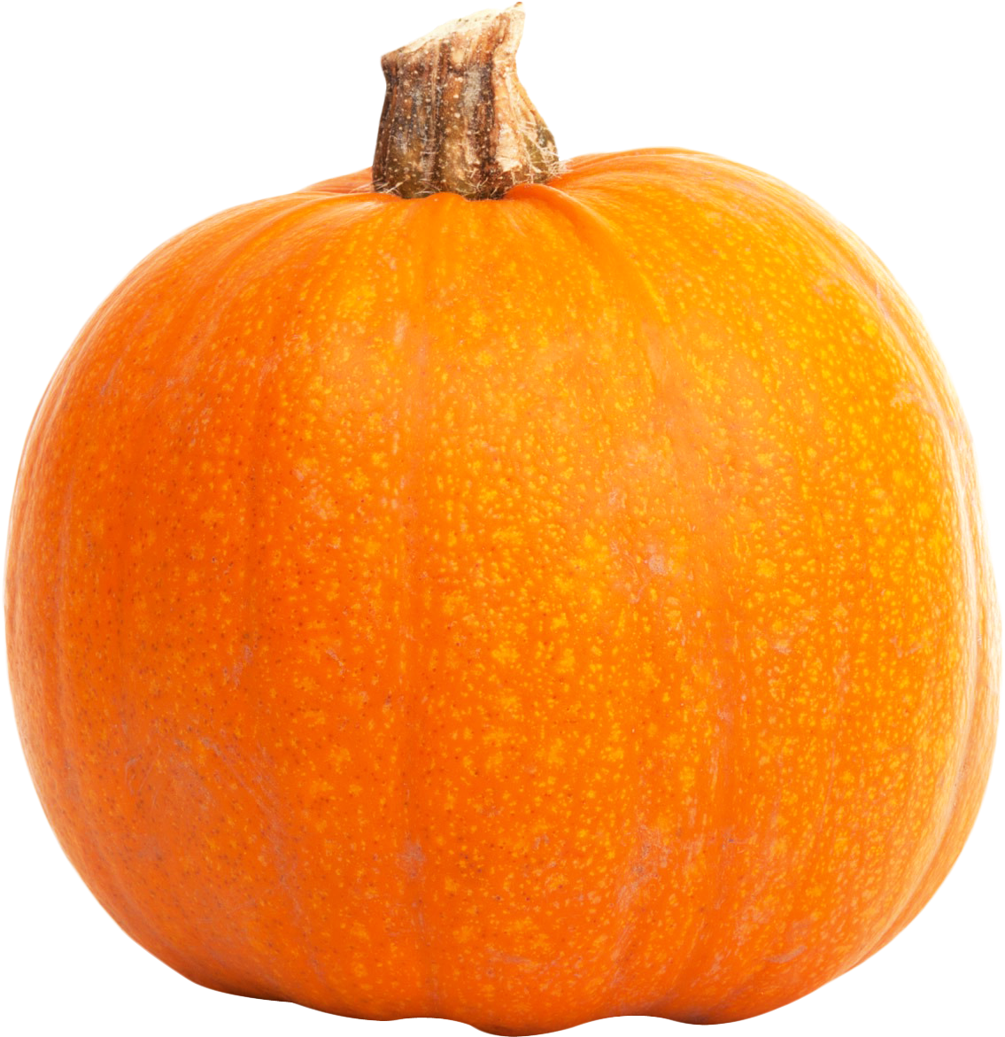 Real Pumpkin File Mart Freeuse - Pumpkin (1182x1232), Png Download