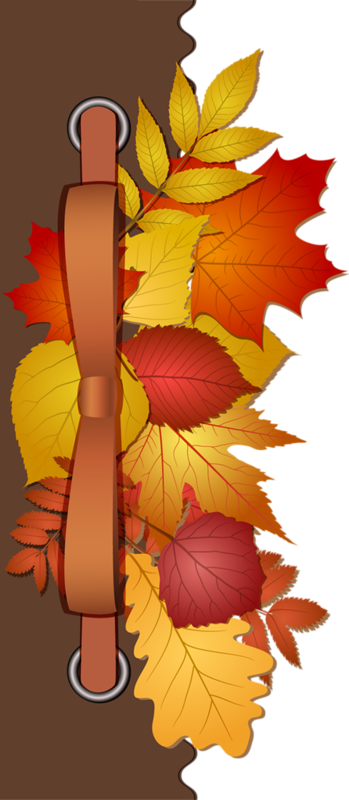 Fall - Шаблон Для Презентации В Виде Фотоальбома (349x800), Png Download