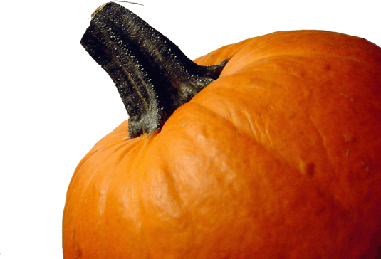 Pumpkin-149 - Happy Thanksgiving To Our Clients (535x364), Png Download