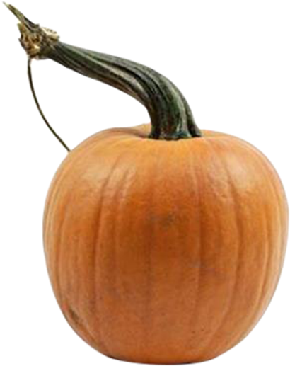 Mini Pumpkins - Pumpkin (476x600), Png Download