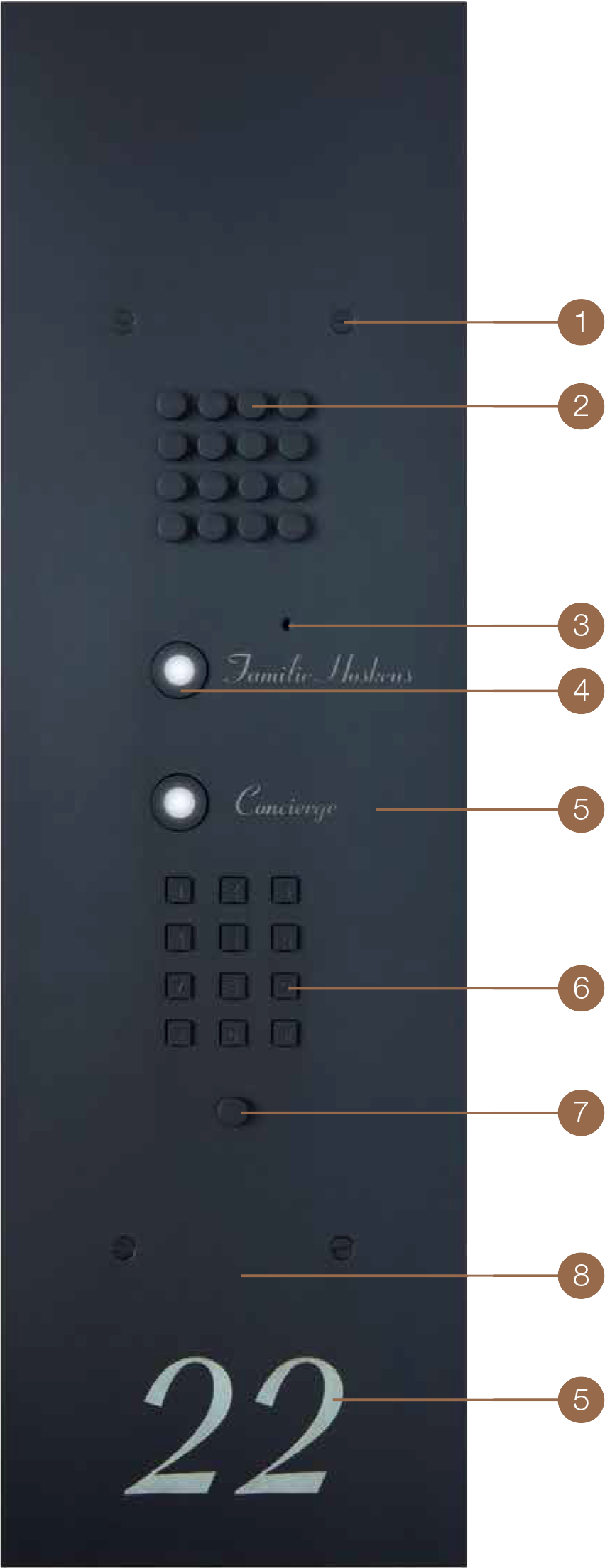 Specifications - Bronze (852x2209), Png Download