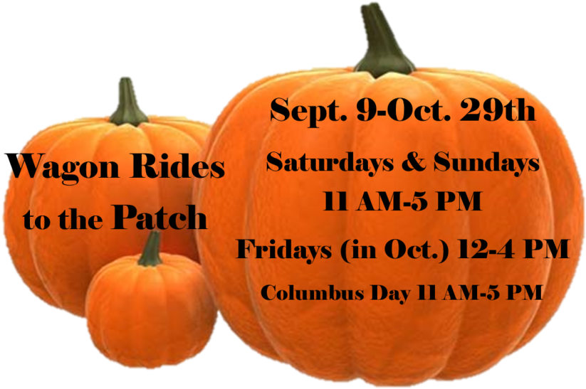 Website Wagon Rides Hours - Pumpkin (1000x665), Png Download