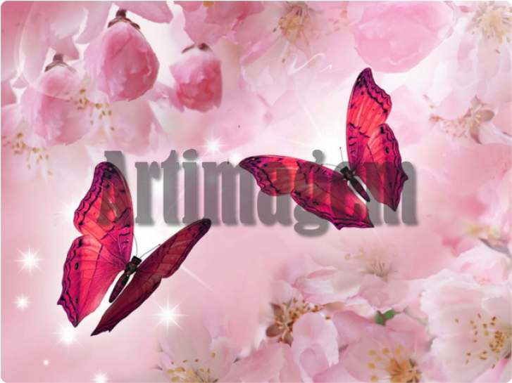 逍遙遊‧莊子【典藏新版】 (726x1000), Png Download