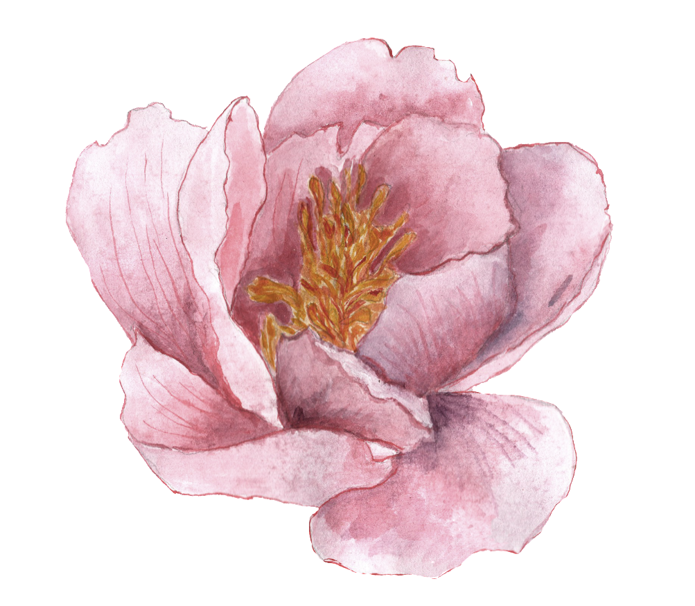 Png De Ornamento Transparente Para O Mosaico Do Imperador - Watercolor Painting (1024x878), Png Download