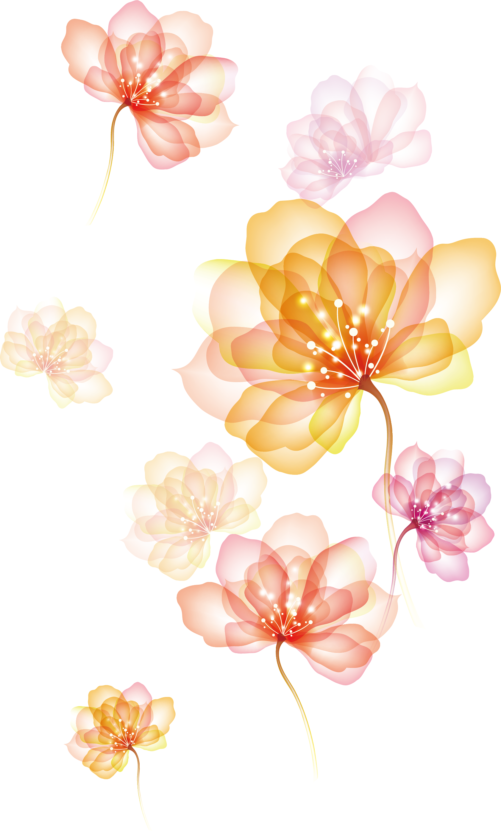 Flower Spreading Png (480x796), Png Download