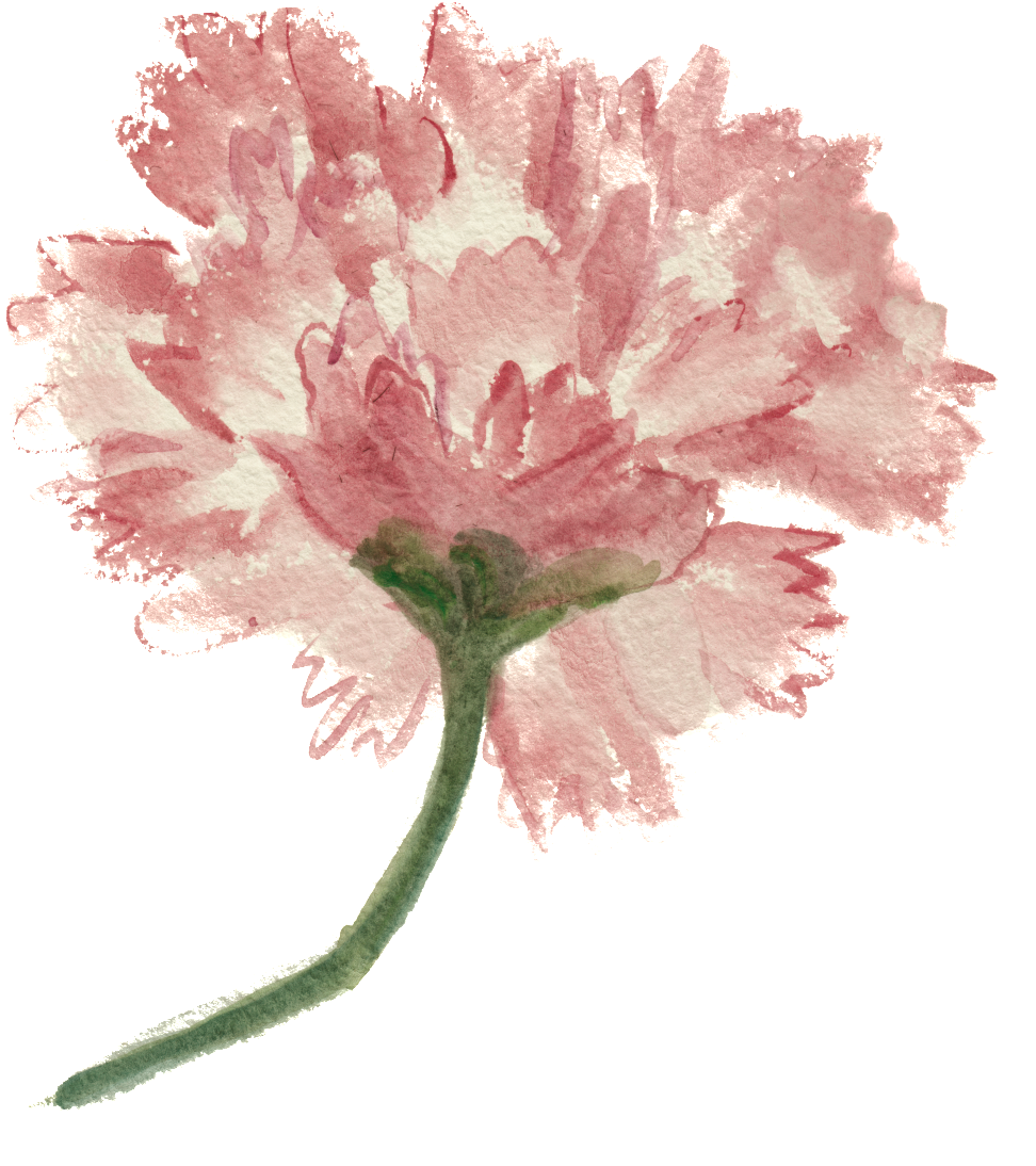 Png De Ornamento Transparente E Decorativo De Cor De - Flower (1024x1141), Png Download