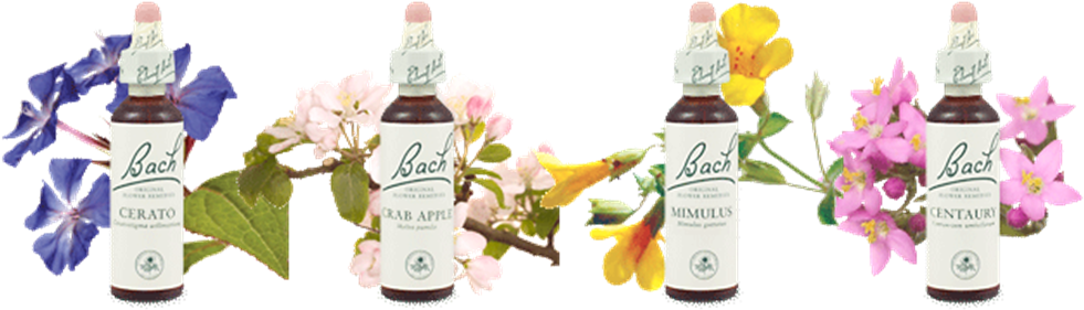 Essências Florais De Bach - Traditional Medicinals - Organic Throat Coat Tea - (1036x307), Png Download
