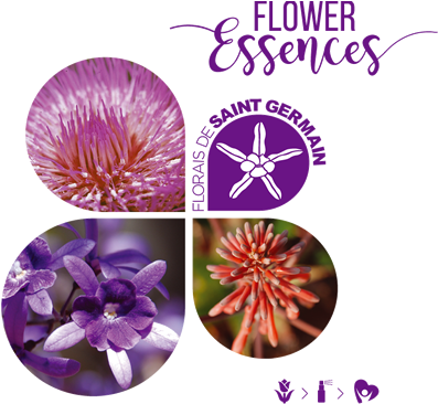 Neide Margonari - Herbal Essentuality Hand Made Bath Bomb, 4.0 Oz. (400x372), Png Download
