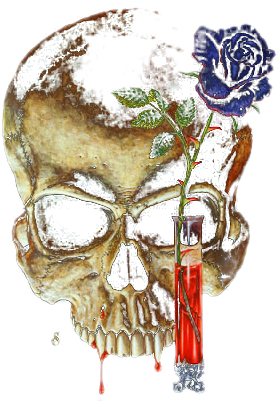 Skeletons Skulls - Skull (400x500), Png Download