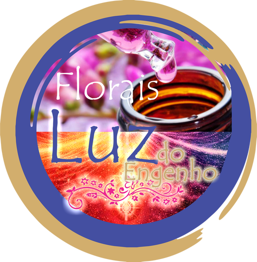 Fiori Di Bach [book] (523x532), Png Download