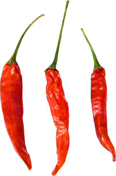 Gourmet (400x608), Png Download
