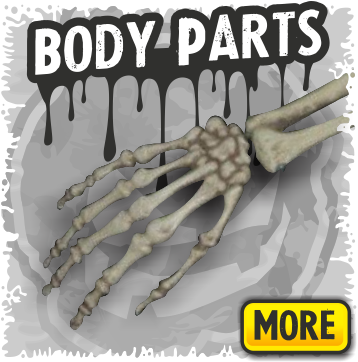 Body Parts A Skeletons Decor - Skeleton (375x361), Png Download