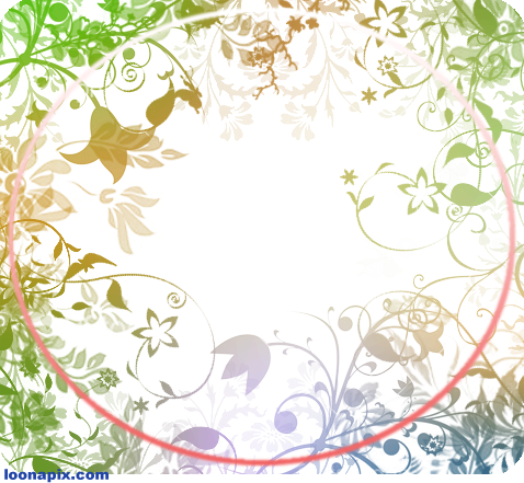 Decorações Florais - Picture Frame (478x441), Png Download
