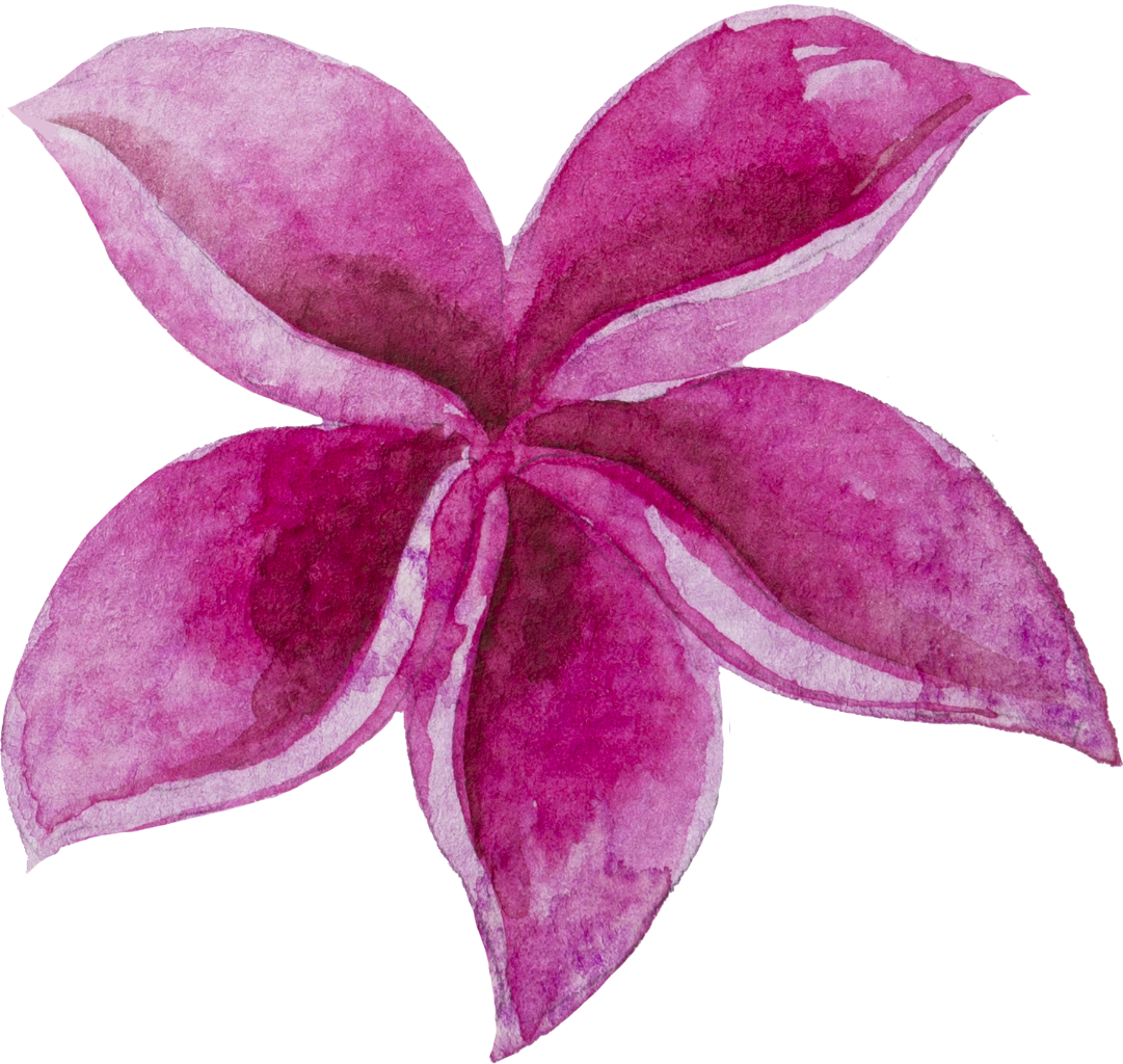 Watercolour Watercolor Sticker Ftestickers Flowers - Watercolor Painting (1081x1024), Png Download