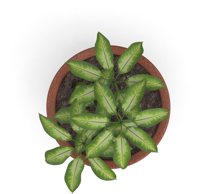 S - Mockup (800x800), Png Download