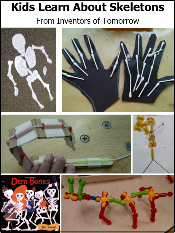 Skeletons - Inventor (590x787), Png Download