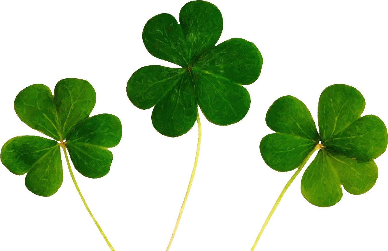 Cs Painted Shamrocks - Good Luck Symbols (1354x876), Png Download