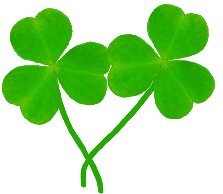 Free Library St Patrick S Day Two Leaves Of - Shamrock (472x415), Png Download