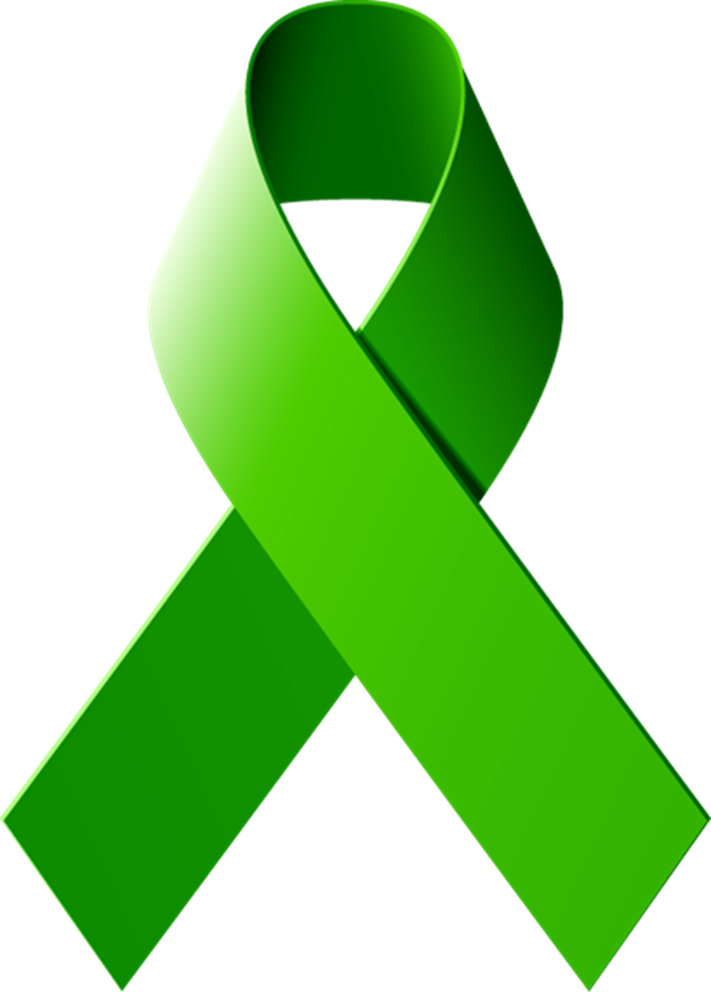 Our Experiences Give Us Our Causes, Our Hopes - Pancreatic Cancer Ribbon (409x570), Png Download