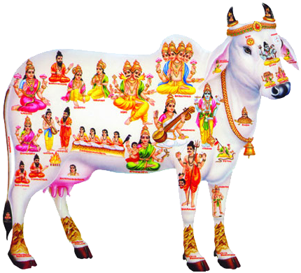 Indian Cow Png Download - Kamadhenu (450x400), Png Download
