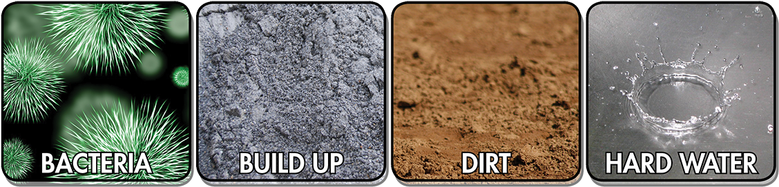 Bacteria-2 - Guide To Negro League Players D, Cool Papa Bell And (1200x325), Png Download