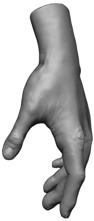 By Marie-claire Gagnon - Manatee (428x791), Png Download
