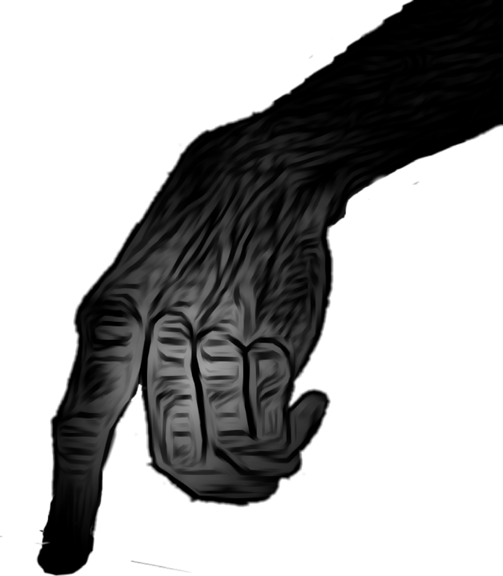 Zombie Hand Creepy Scary Touch Finger - Hand (1024x1171), Png Download