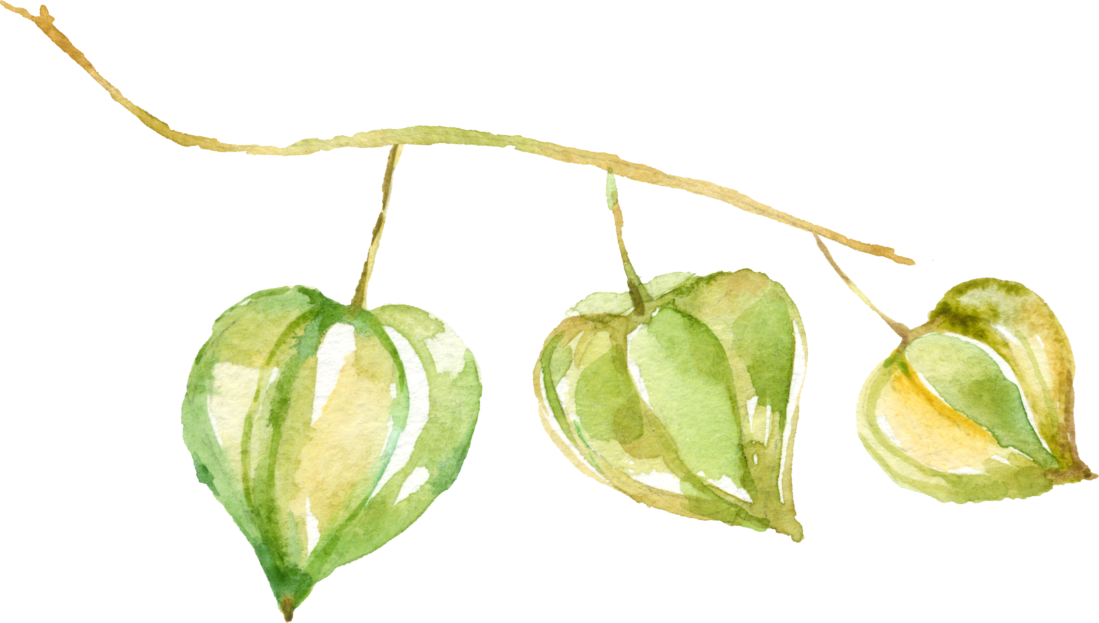 Watercolour - Portable Network Graphics (2234x1267), Png Download