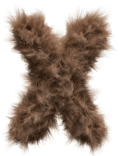 Teddy Bear Font - Teddy Bear (595x595), Png Download