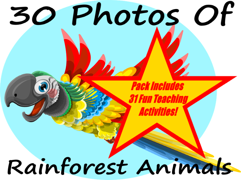 World Earth Day - Parrot (800x600), Png Download