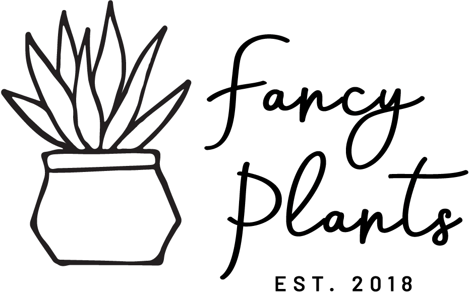 Founded By Suni Johnson, Fancy Plants Is A Small Town - Calligraphy (930x579), Png Download
