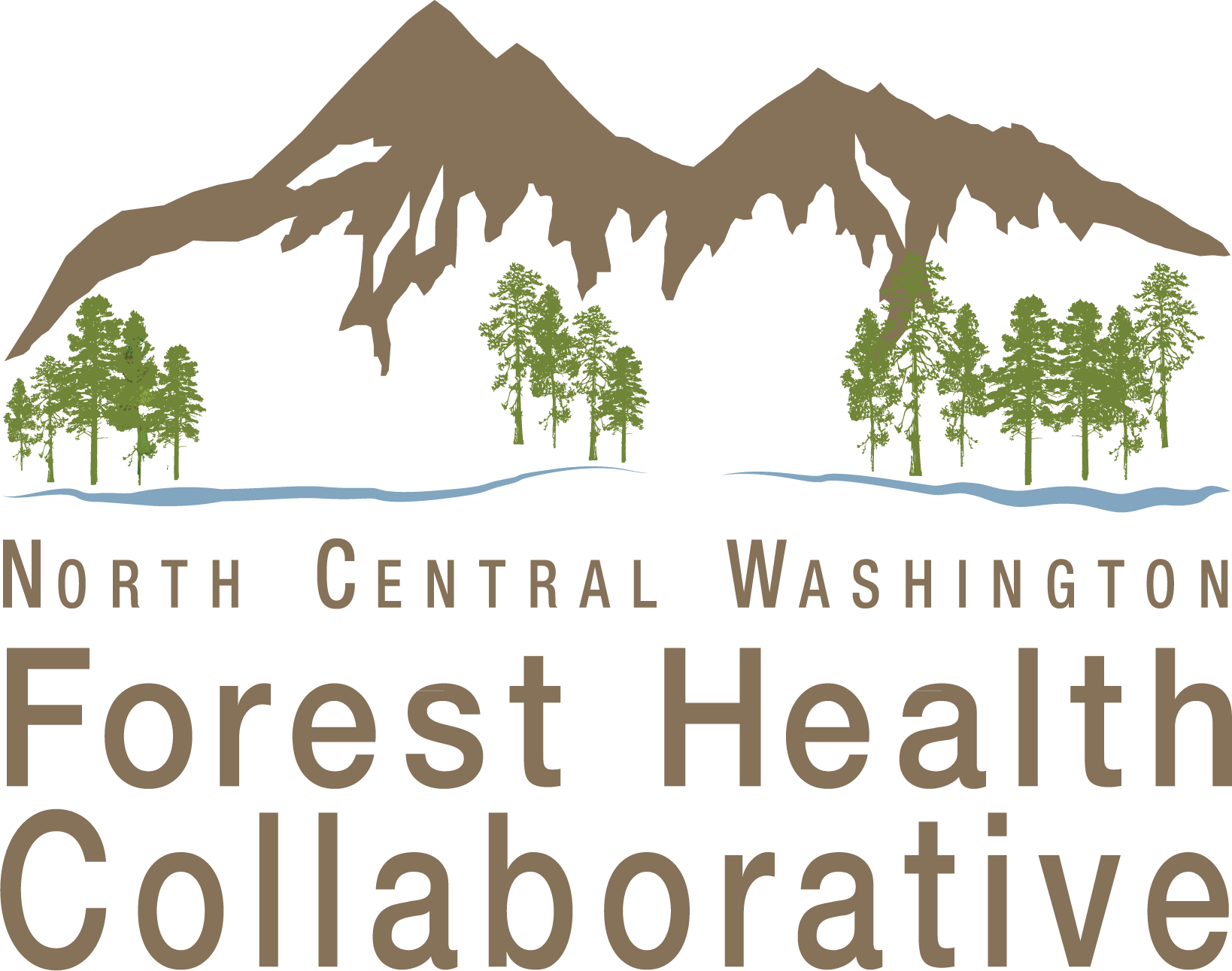North Central Washington Forest Health Collaborative - Tree (1638x1291), Png Download